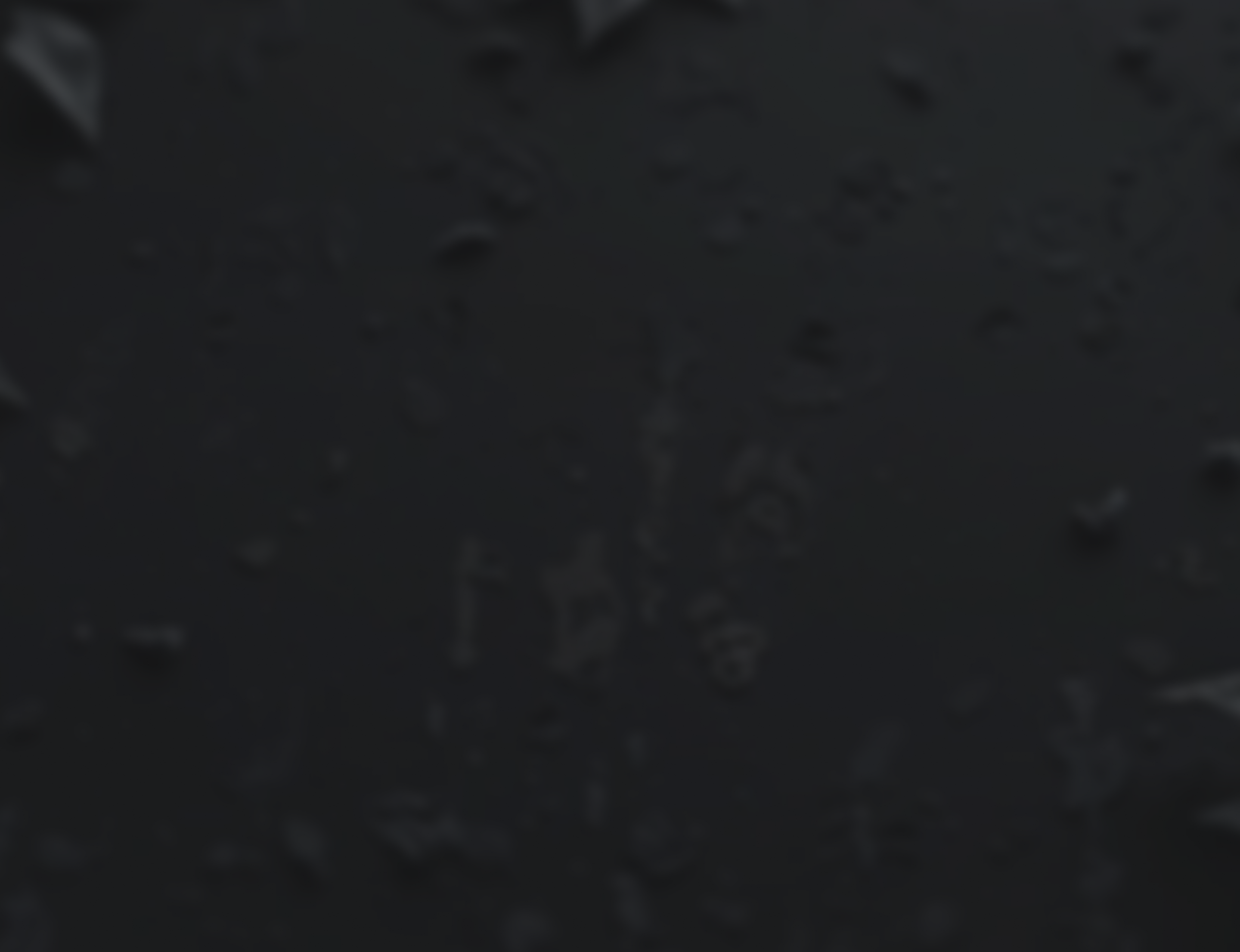 footer background